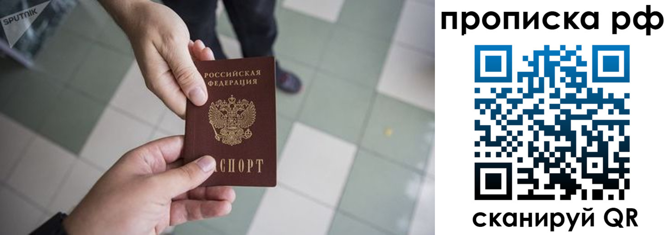 прописка гарантия в Павловском Посаде